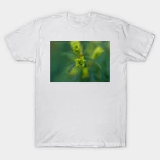 The Budding of the Spring T-Shirt